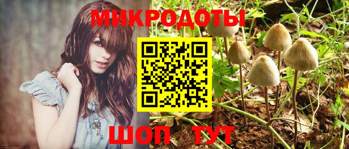 Псилоцибиновые грибы прущие грибы Пушкино